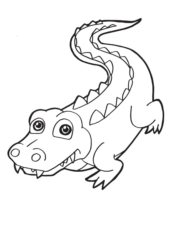 Coloring pages printable crocodile coloring sheet