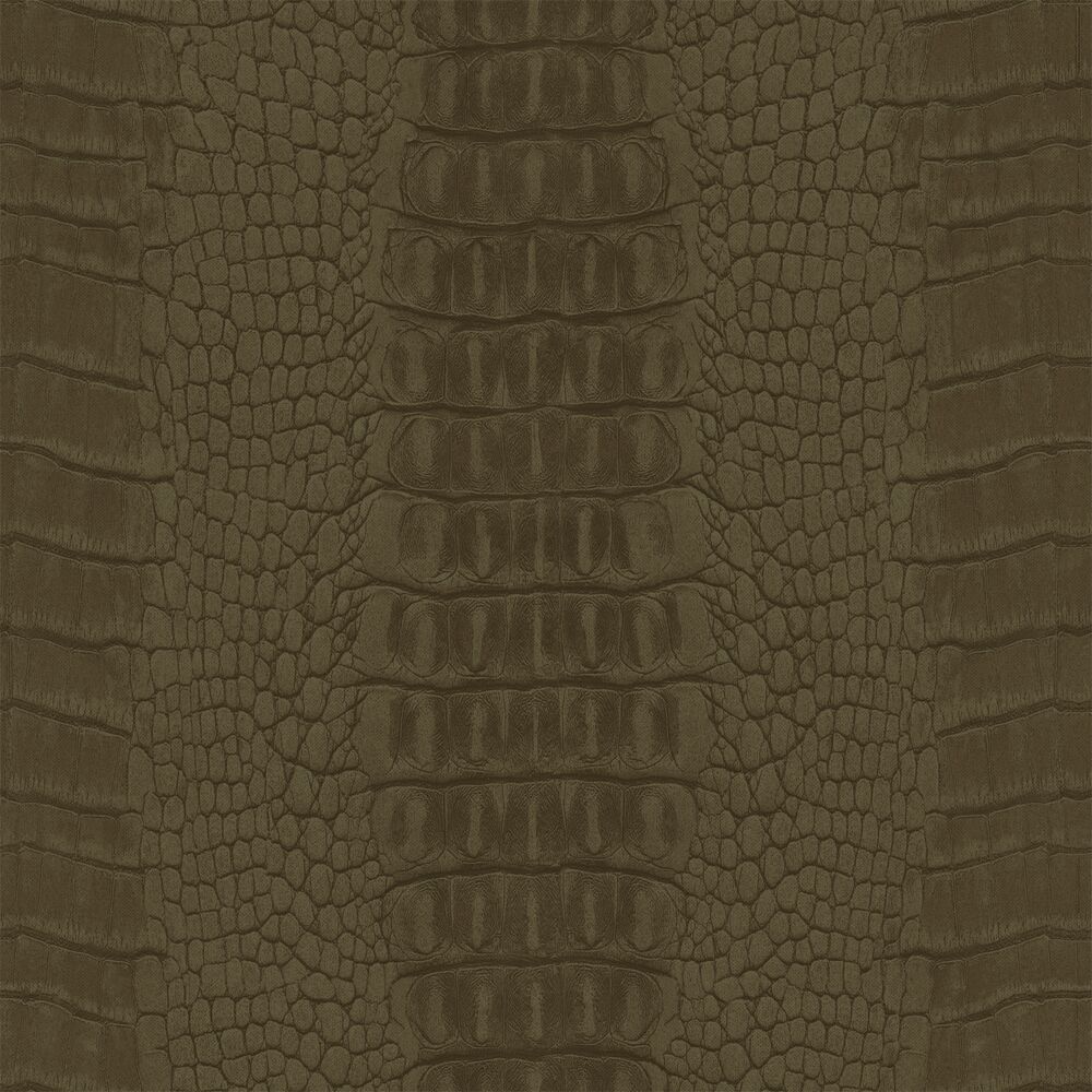 Download Free 100 + crocodile skin Wallpapers