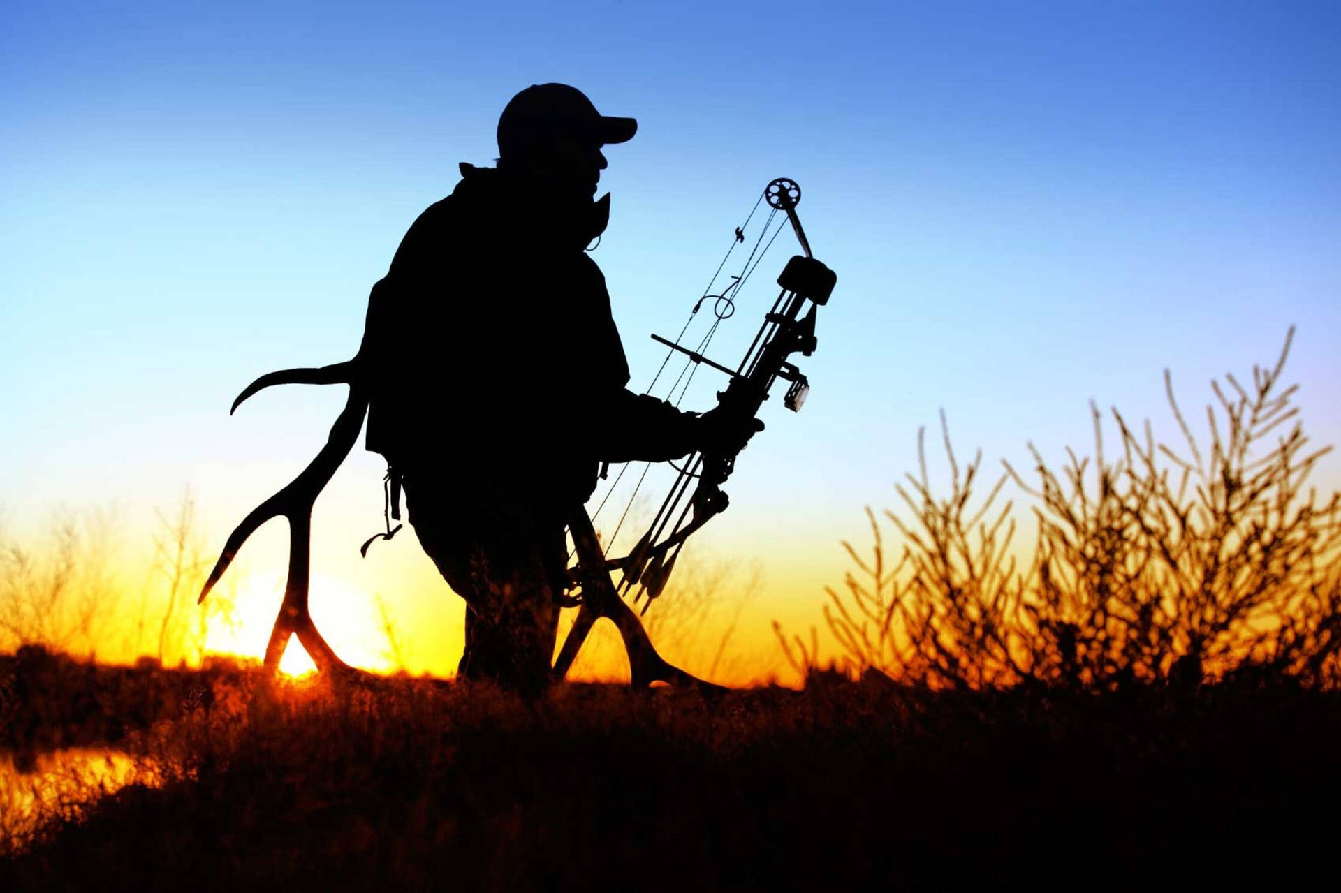 Download Free 100 + crossbow hunting wallpaper