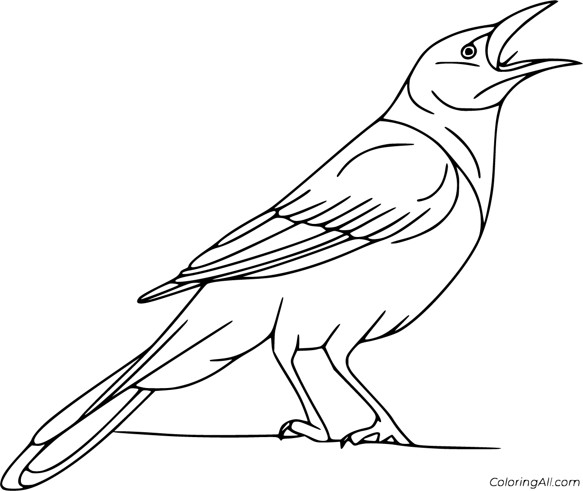 Free printable crow coloring pages in vector format easy to print from any device and automatically fit any paper size crow images crow crows drawing