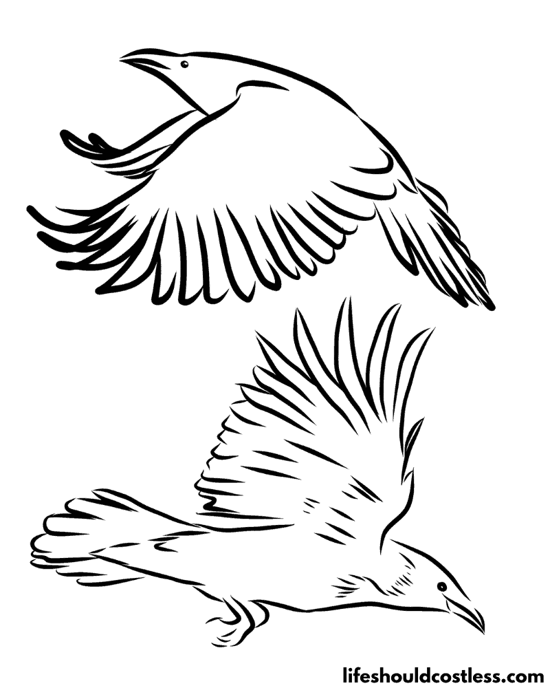 Crow coloring pages free printable pdf templates