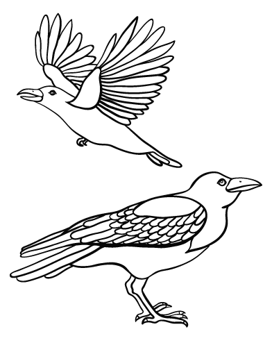 Free crow coloring page