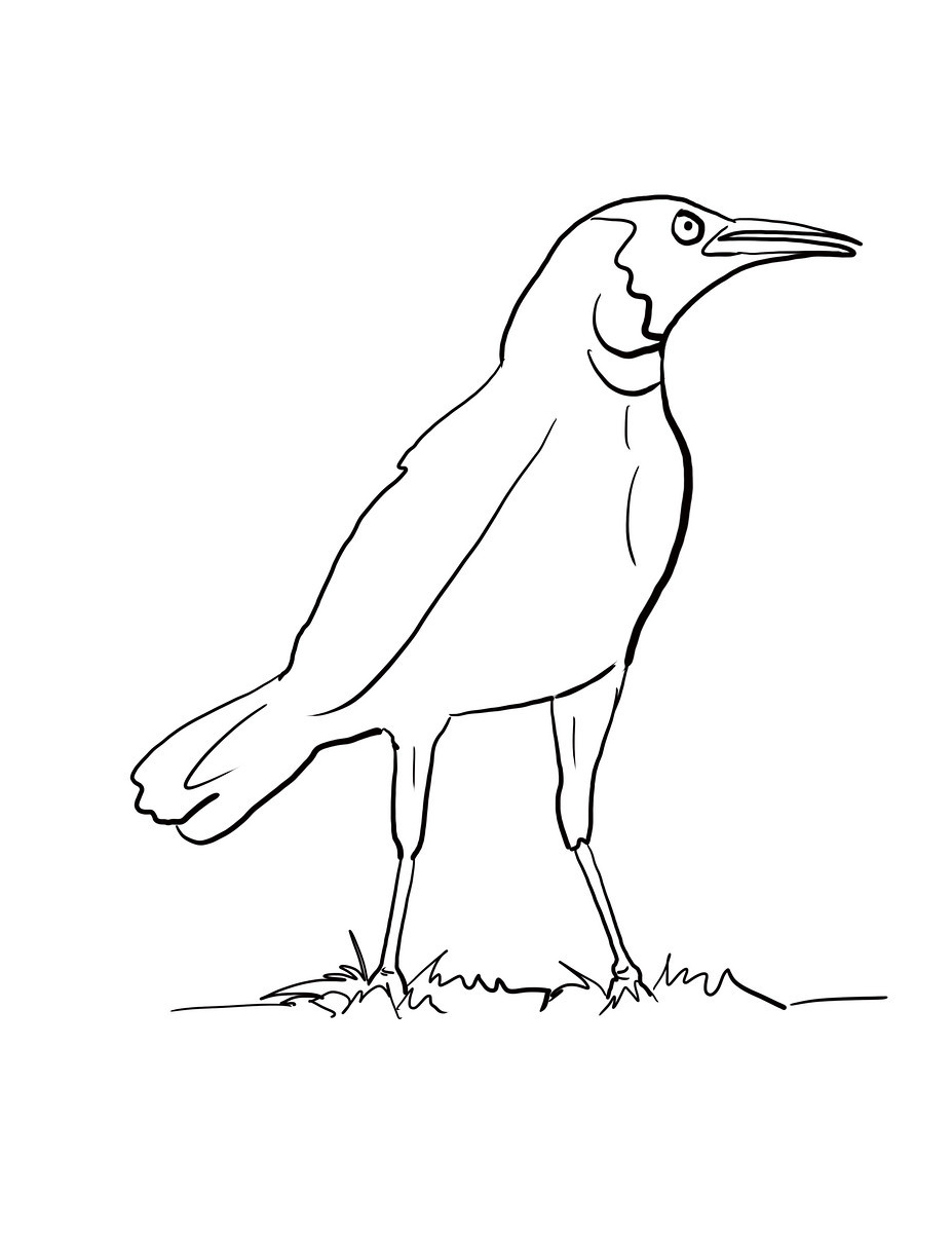 Crow coloring pages