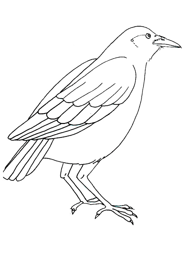 Coloring pages crow coloring pages for kids