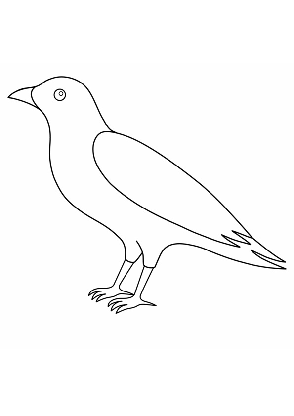 Coloring pages printable crow coloring page for kids