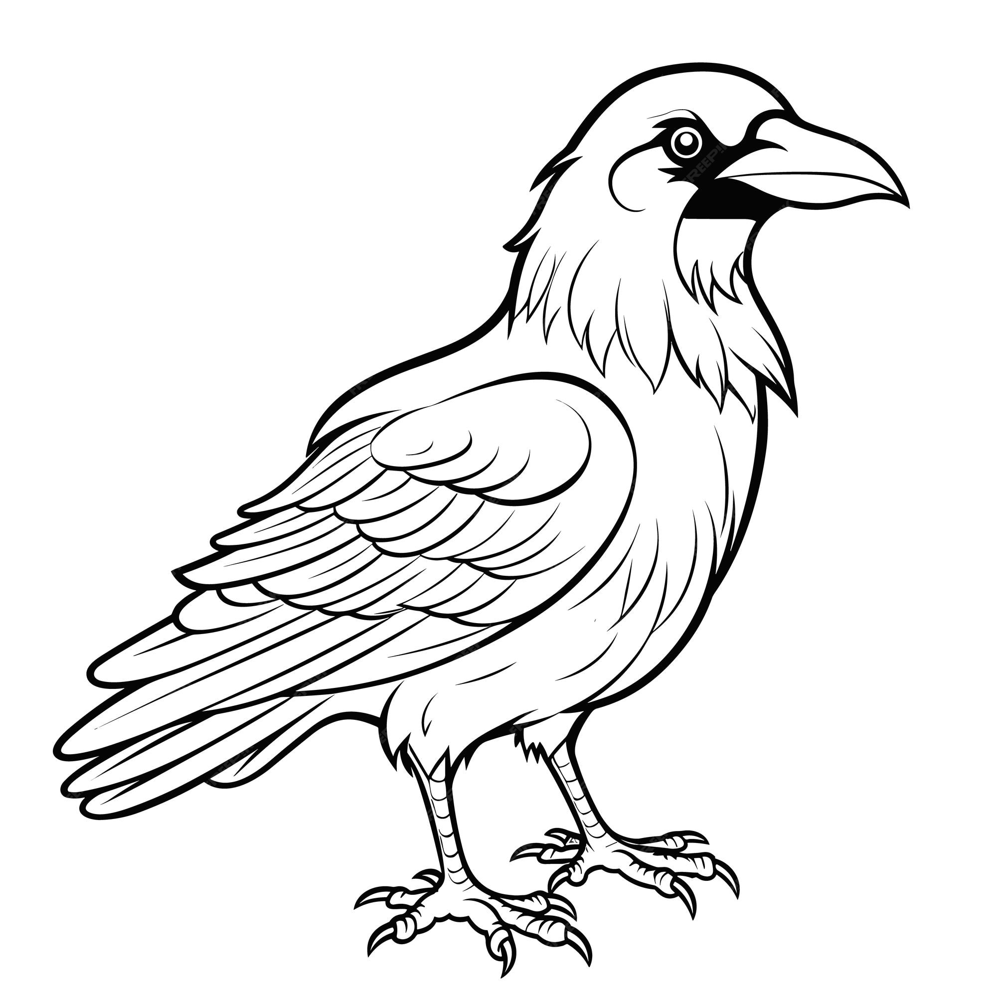 Premium vector crow coloring pages vector animals