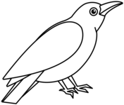 Crows coloring pages free coloring pages