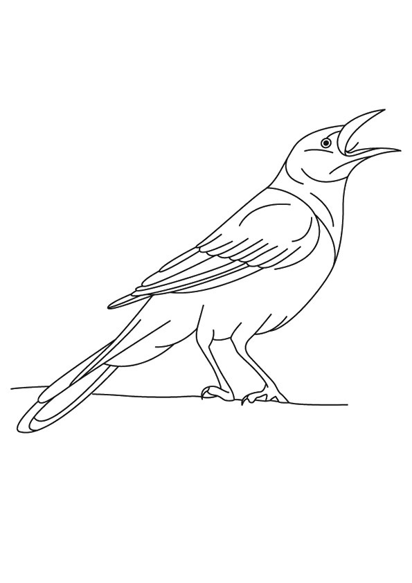 Coloring pages printable crow coloring pages for kids