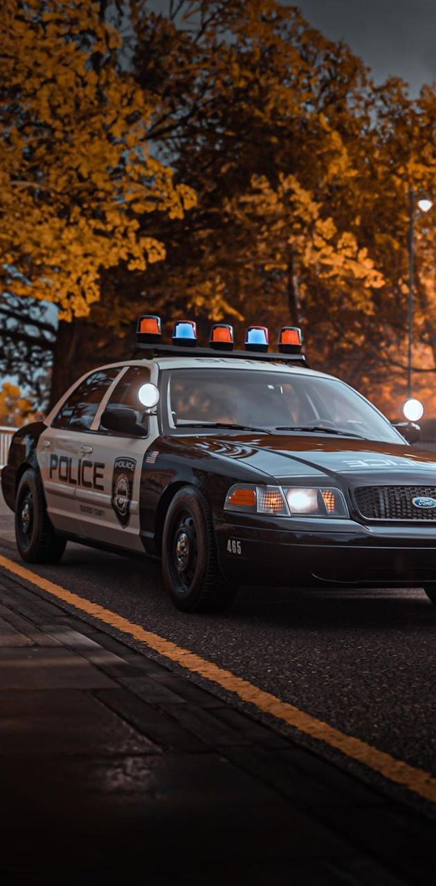 Crown victoria wallpaper by pedrodavi