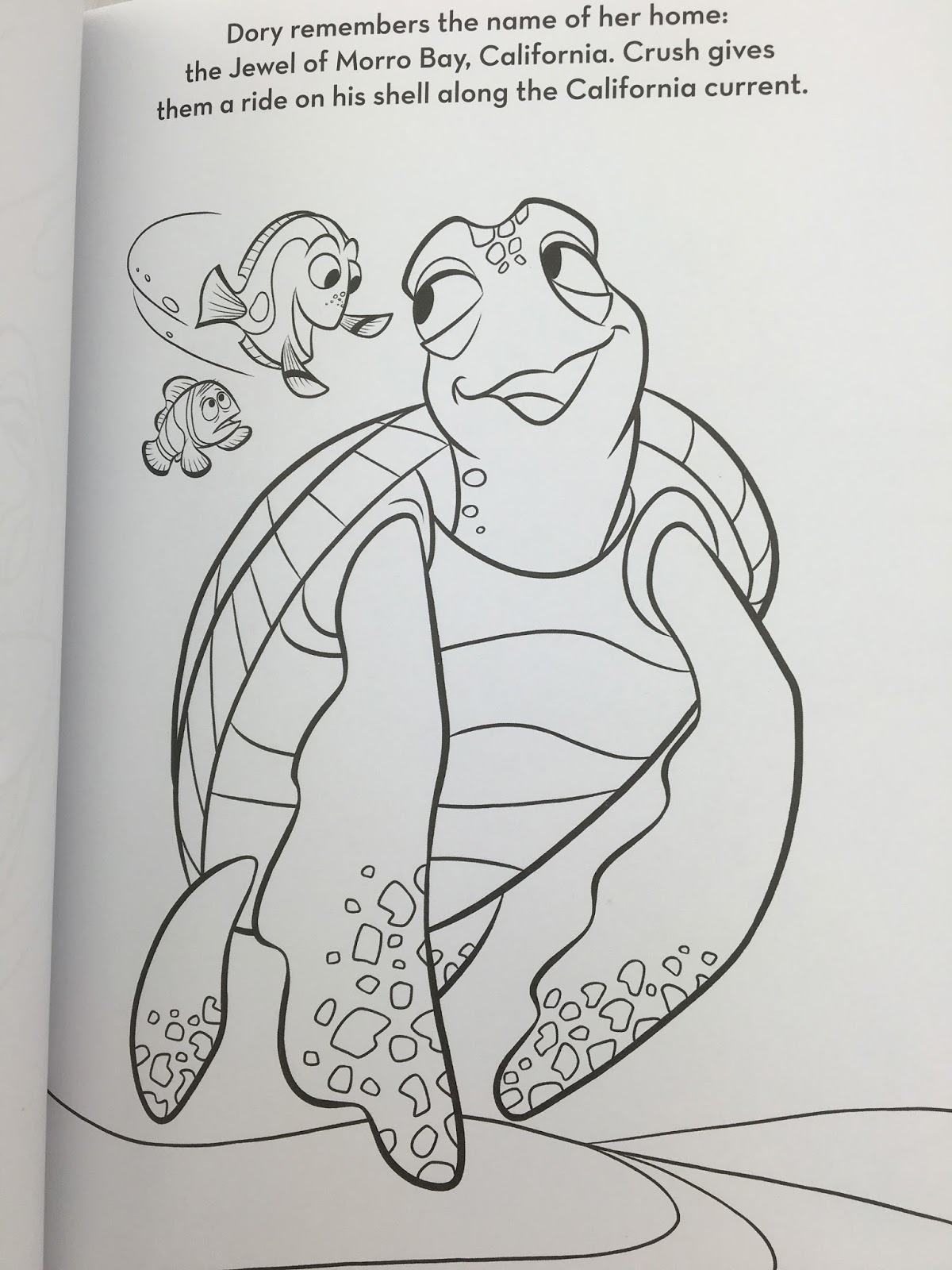 Dan the pixar fan finding dory paintcoloring books make a splash deep