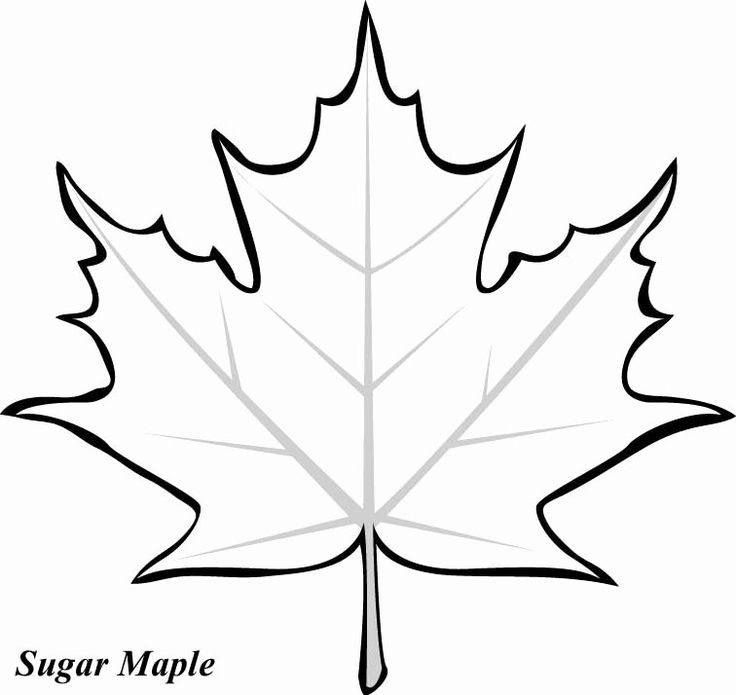 Maple leav coloring page unique maple leaf pattern printable clipart bt fall leav coloring pag leaf coloring page leaf template