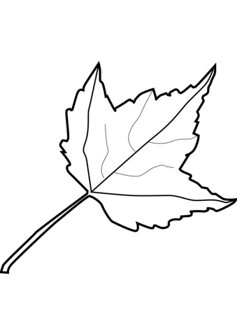 Maple leaf coloring page free printable coloring pages