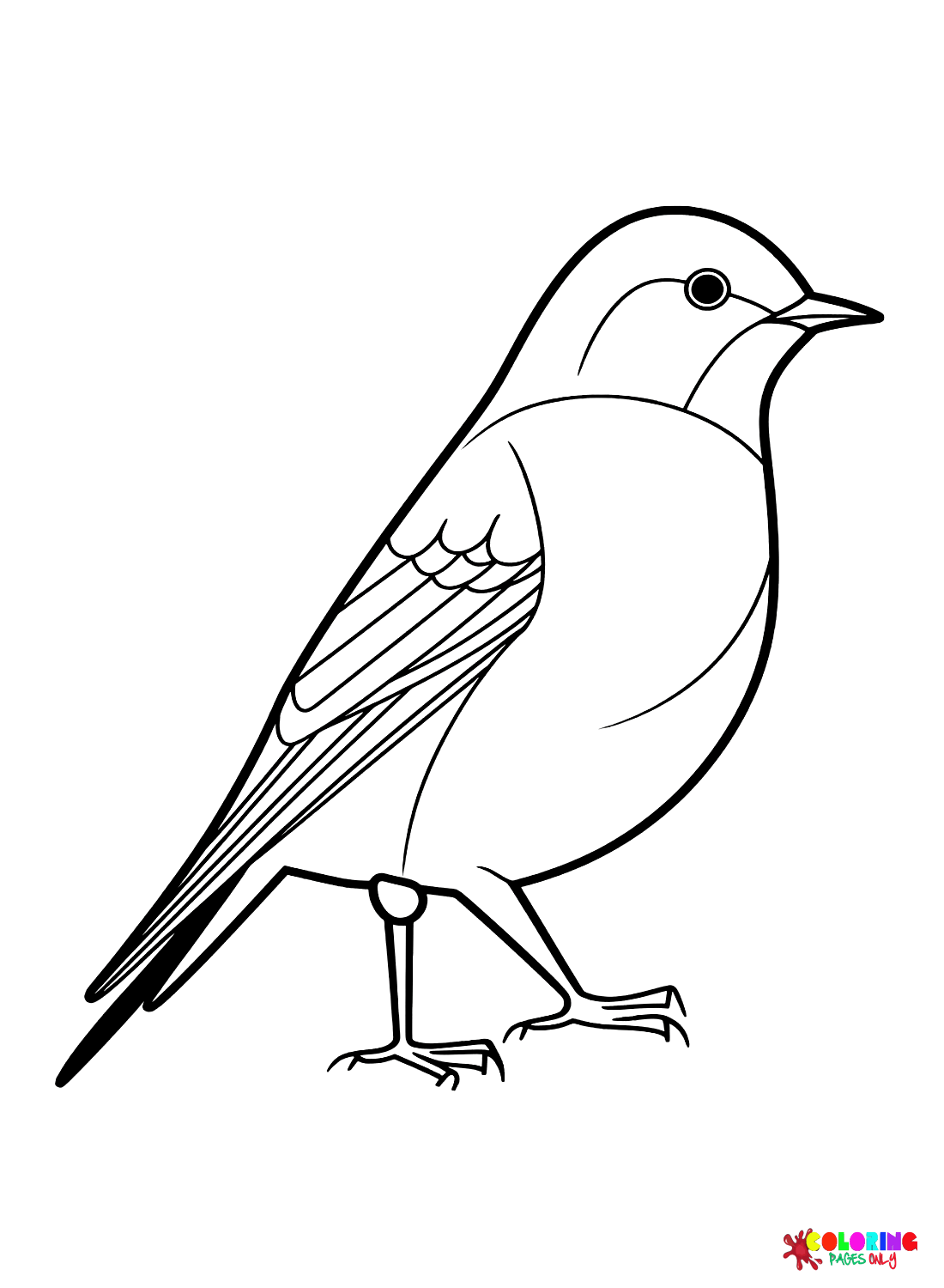 Cuckoo coloring pages