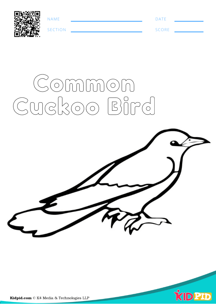 Bird coloring pages for preschoolers