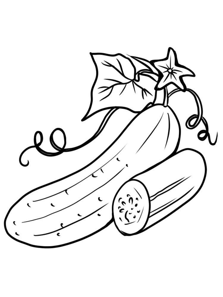 Cucumber coloring pages