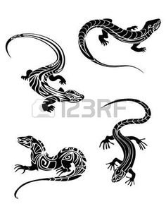 Pictures for drawings ideas lizard drawings vector drawing