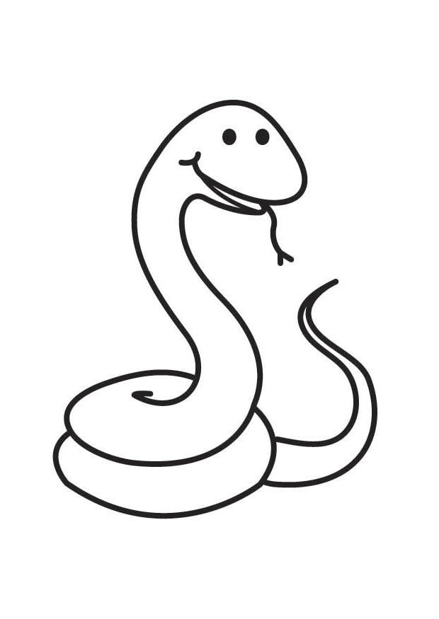 Coloring page snake