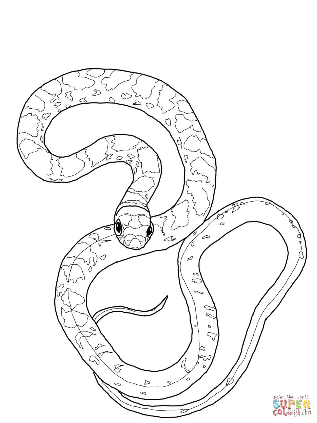 Black racer snake coloring page free printable coloring pages