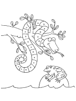 Snakes coloring pages and printable activities