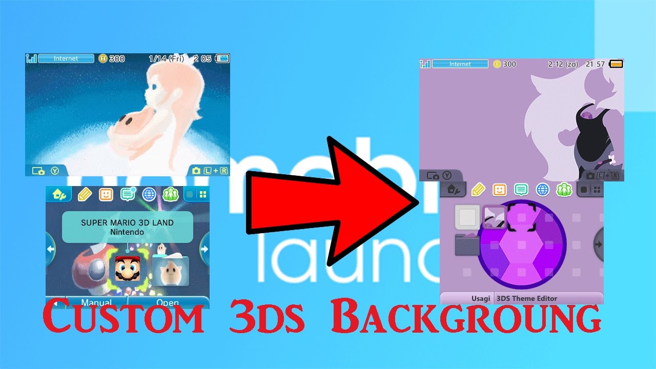 How to get custom ds backgrounds on nintendo dsds