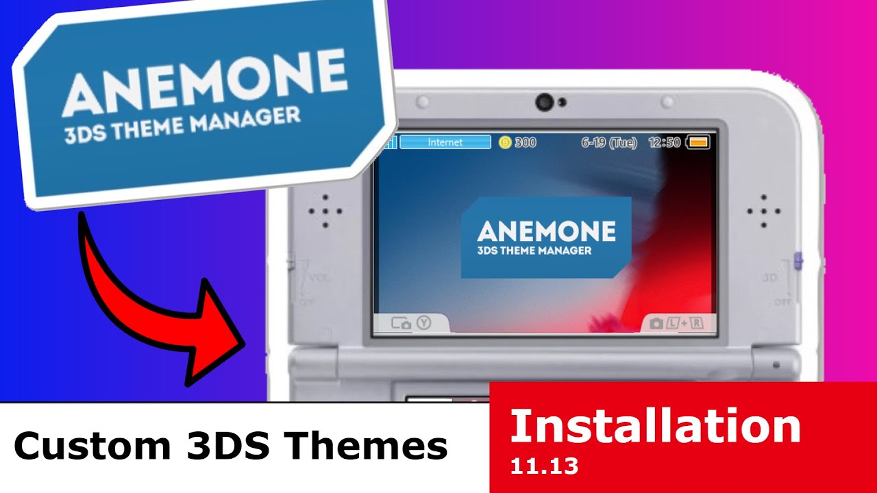 Install custom wallpapers on ds with anemoneds no cfw