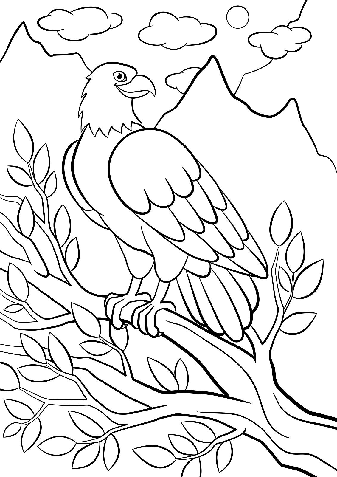Bird coloring pages free fun printable coloring pages of our fine feathered friends printables mom