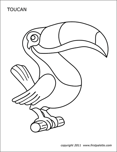 Toucan free printable templates coloring pages