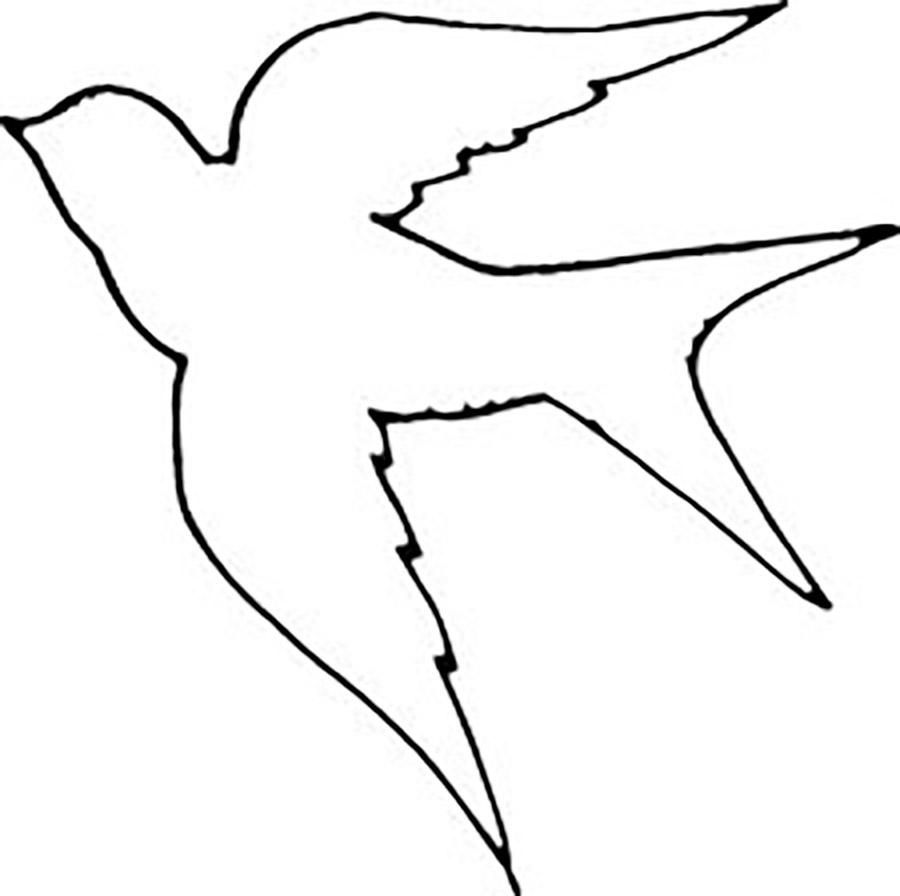 The contours of birds free coloring pages online print pochoir oiseau silhouette oiseau oiseaux en cãramique