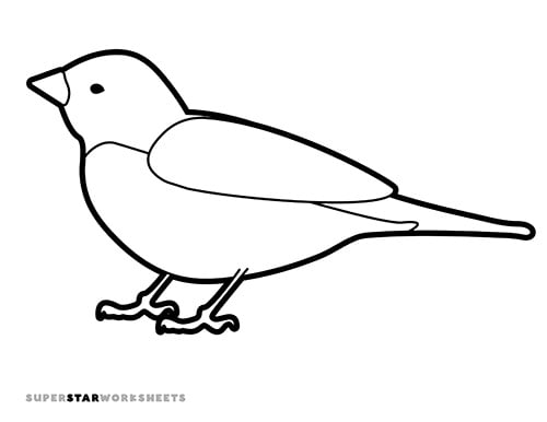 Bird template