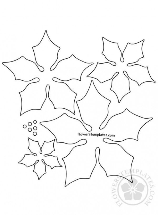 Paper poinsettia christmas flower template flowers templates