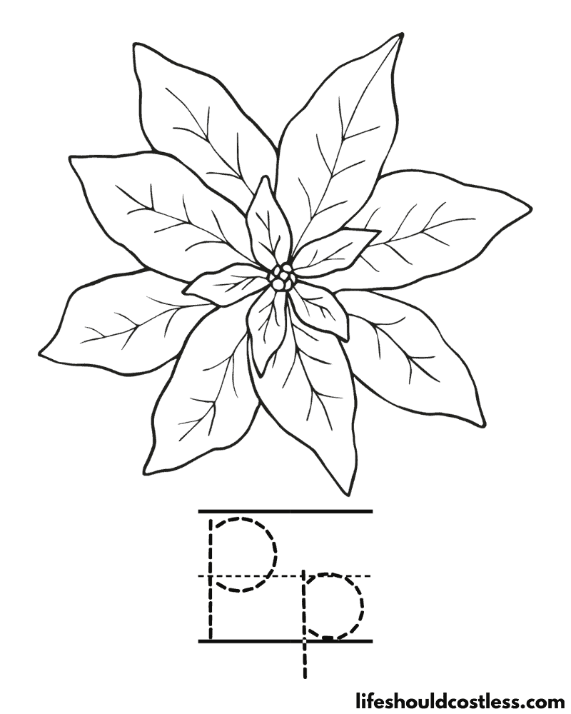 Poinsettia coloring pages free printable pdf templates