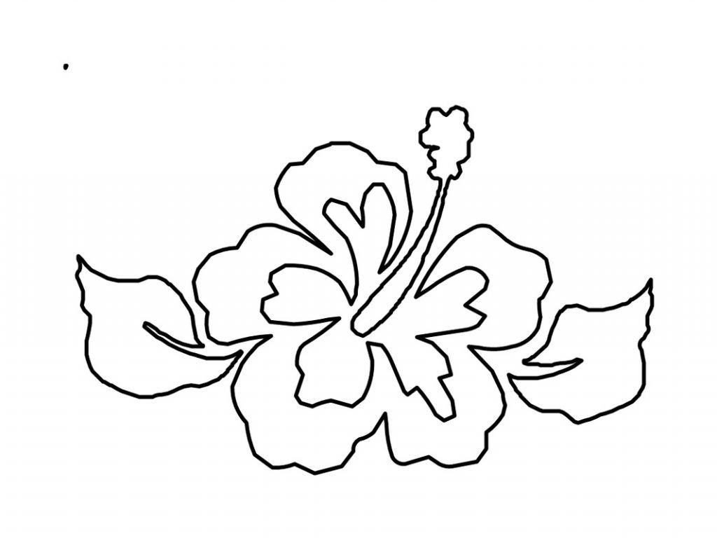 Free printable hibiscus coloring pages for kids coloring pages flower coloring pages flower drawing