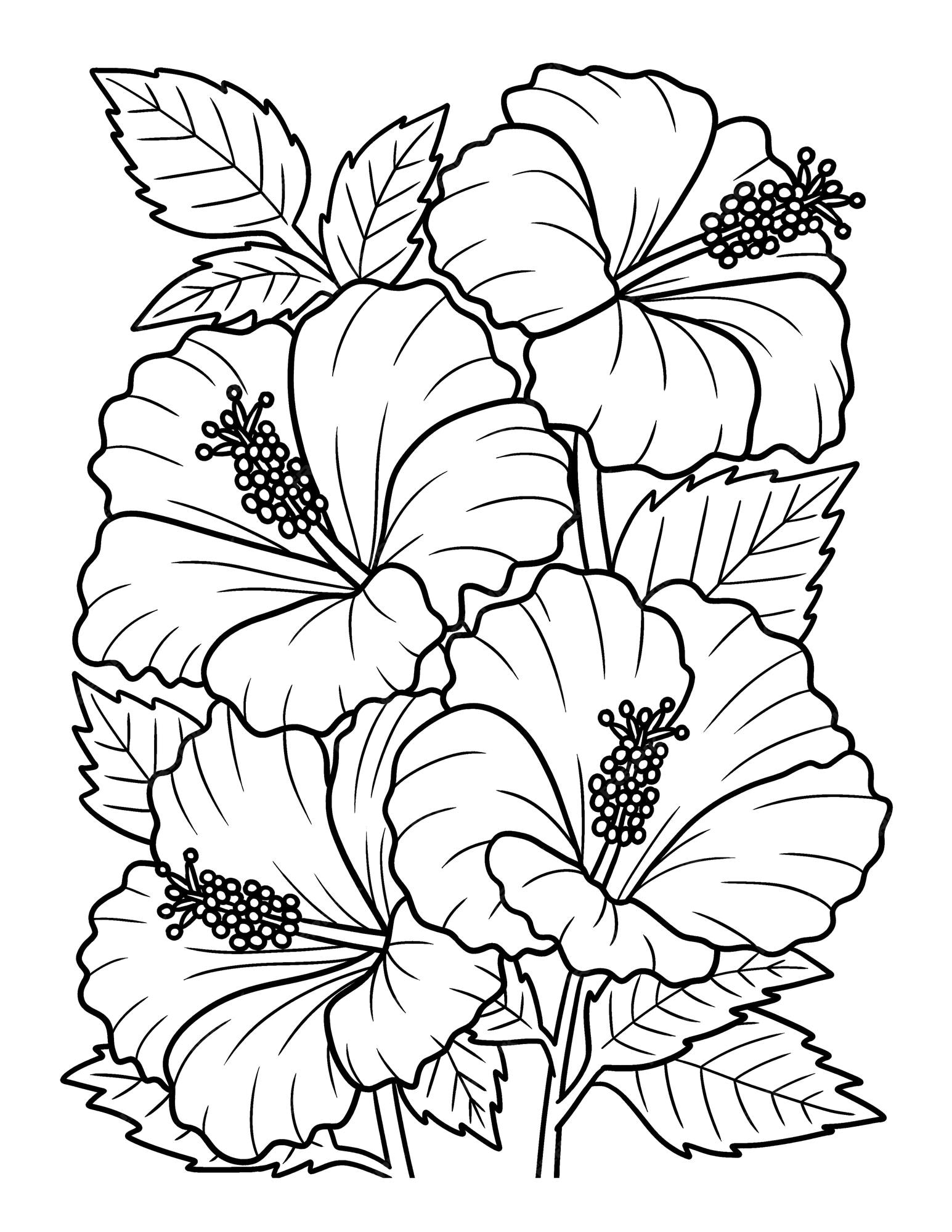 Premium vector hibiscus flower coloring page for adults