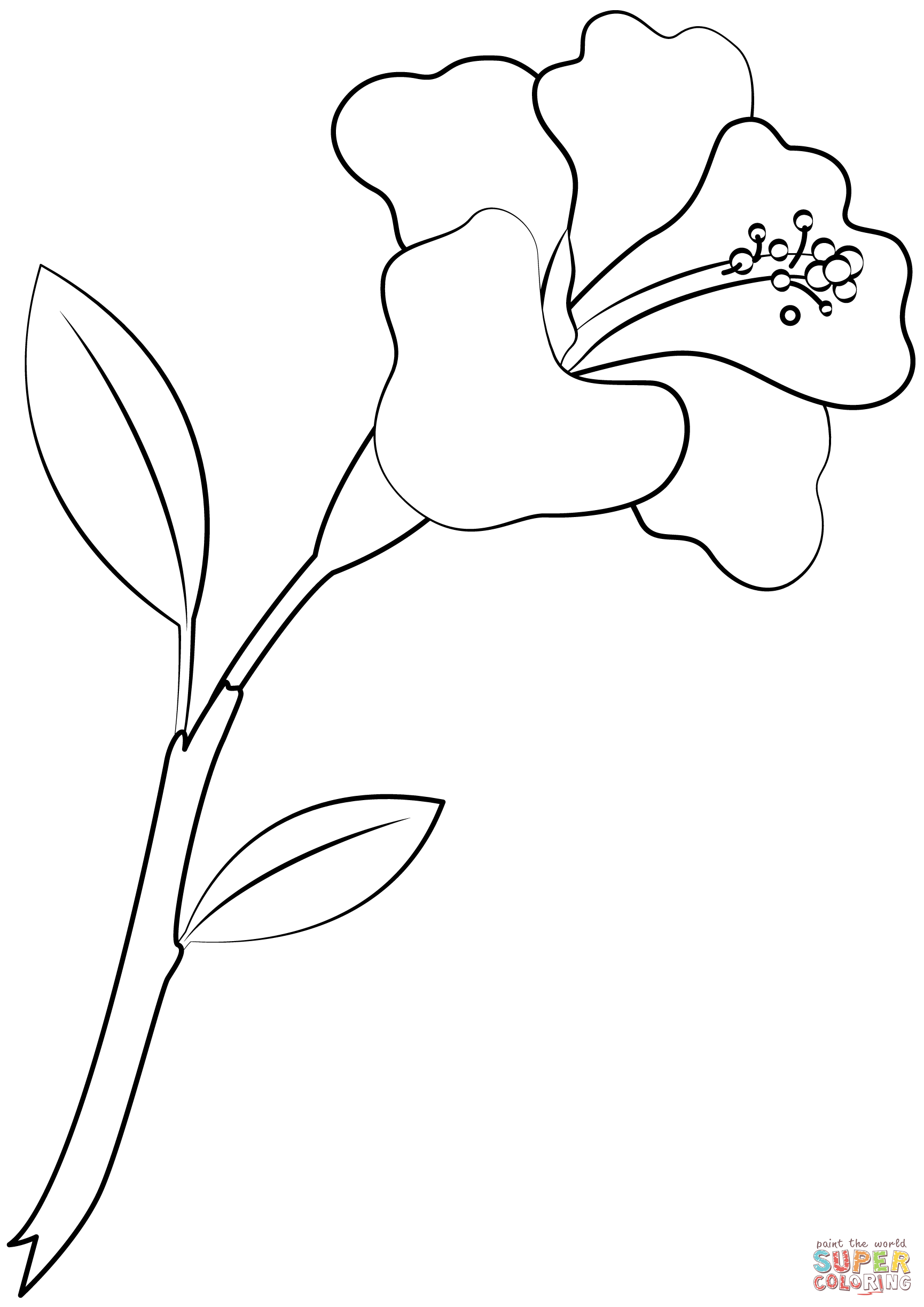 Hibiscus flower coloring page free printable coloring pages