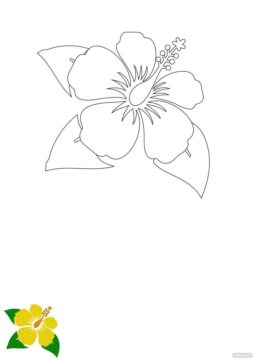Free hibiscus flower coloring page