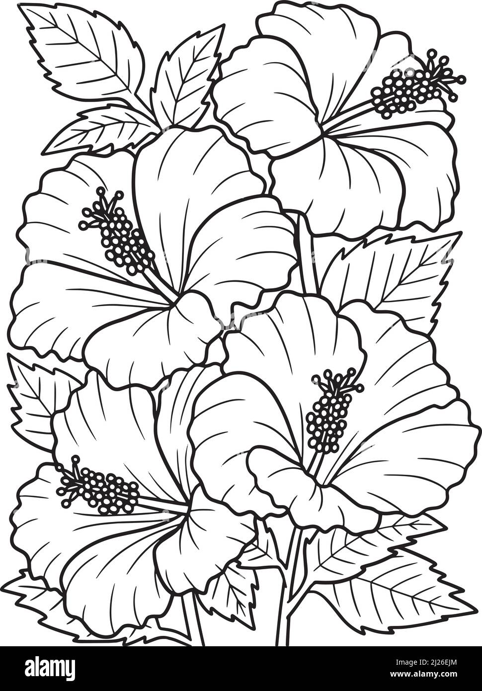 Hibiscus flower coloring page for adults stock vector image art