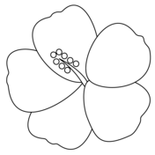 Hibiscus coloring pages free coloring pages