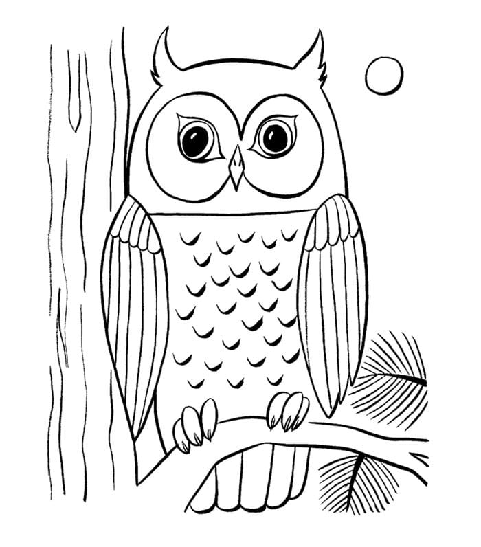 Animal colouring pages free download print