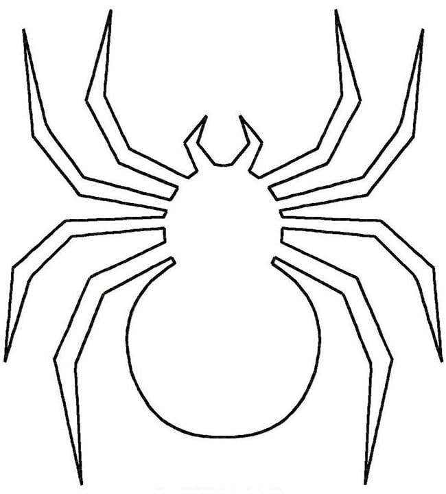 Spider shape