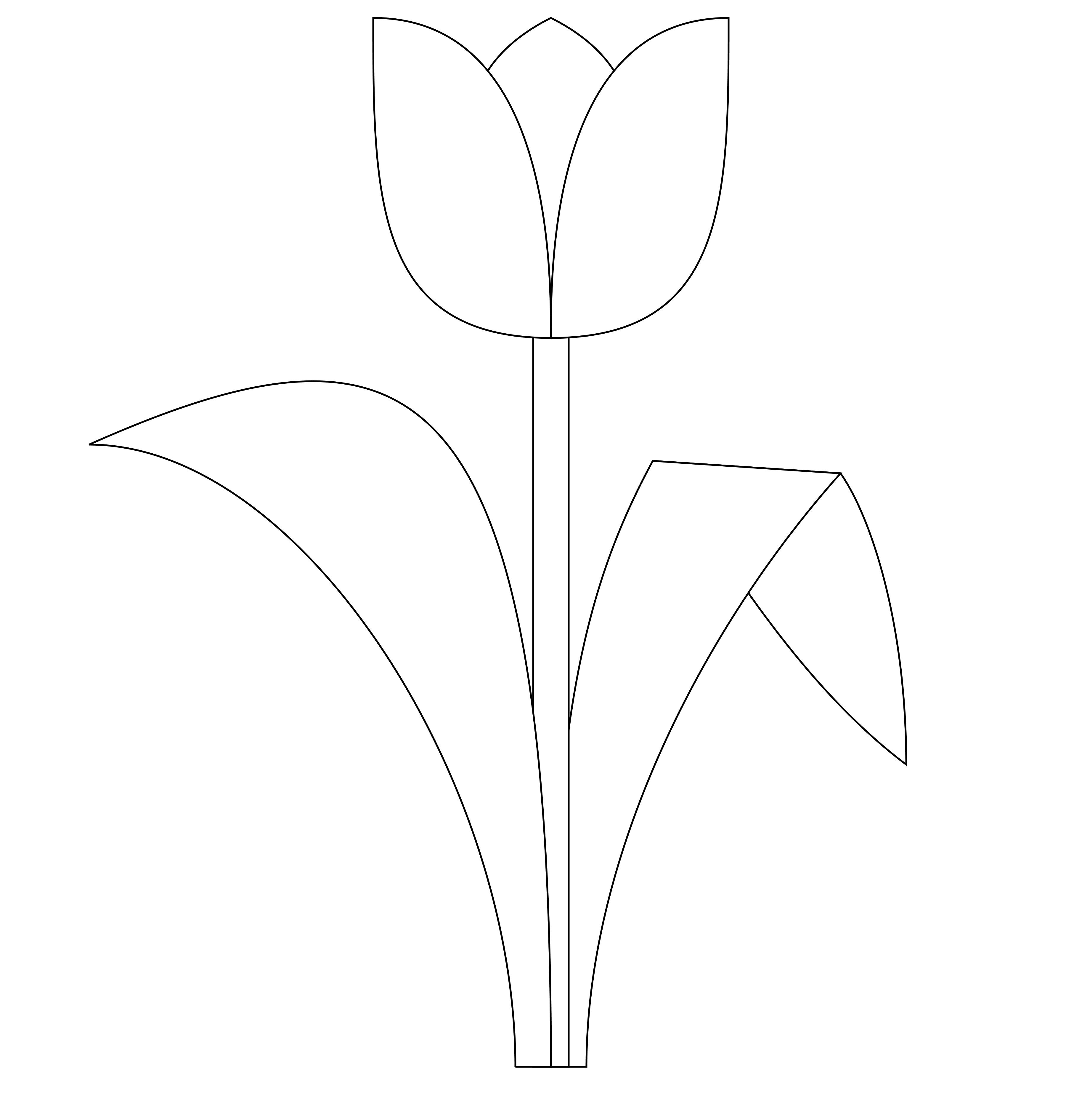 Free printable tulip flower template