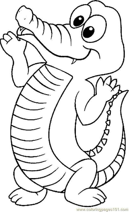 Alligator coloring pages coloring pages crocodile coloring pages animals crocodile â zoo animal coloring pages animal coloring pages cute coloring pages