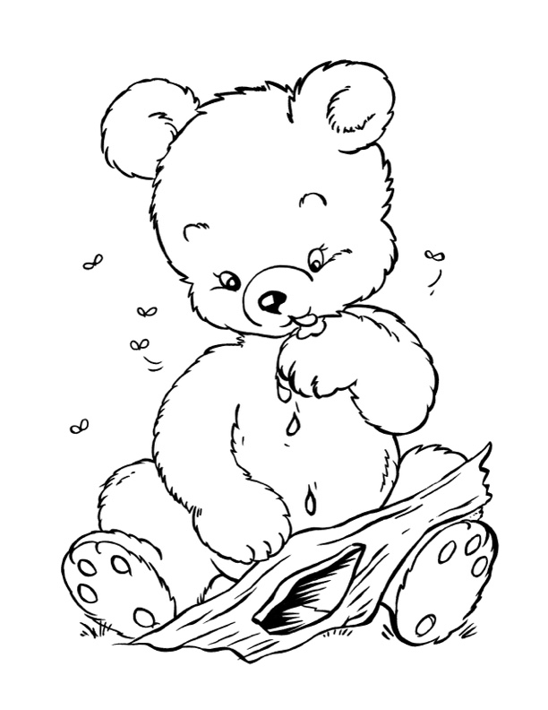 Bear coloring pages