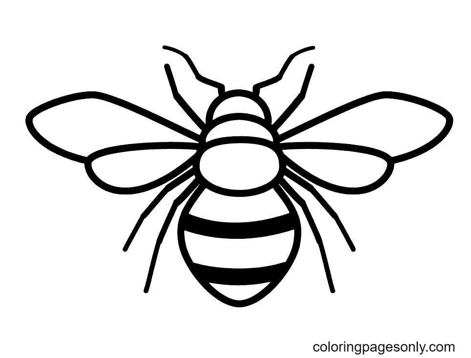 Bee coloring pages printable for free download