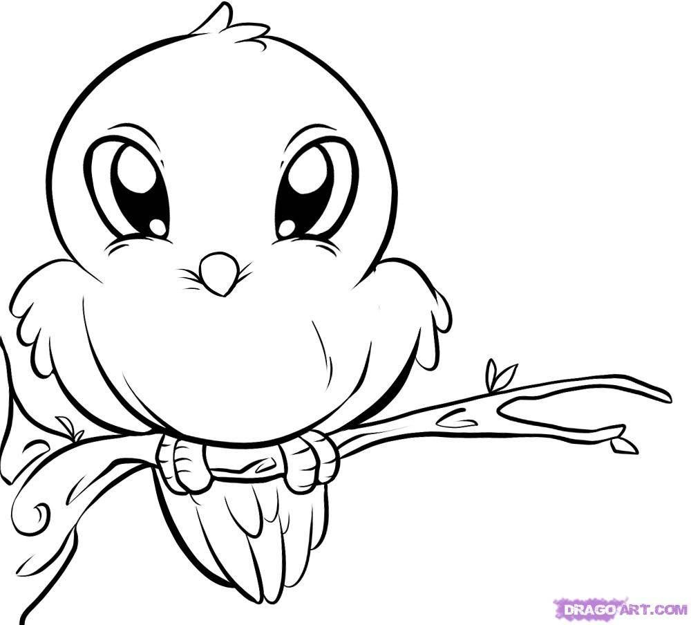 Ini cute bird coloring pages httpwwwprintablesfreecategories pictures cute coloring pages animal coloring pages bird drawings