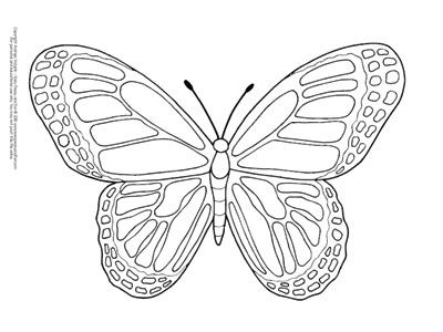 Butterfly coloring pages