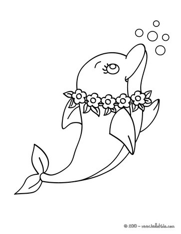 Lovely dolphin coloring pages