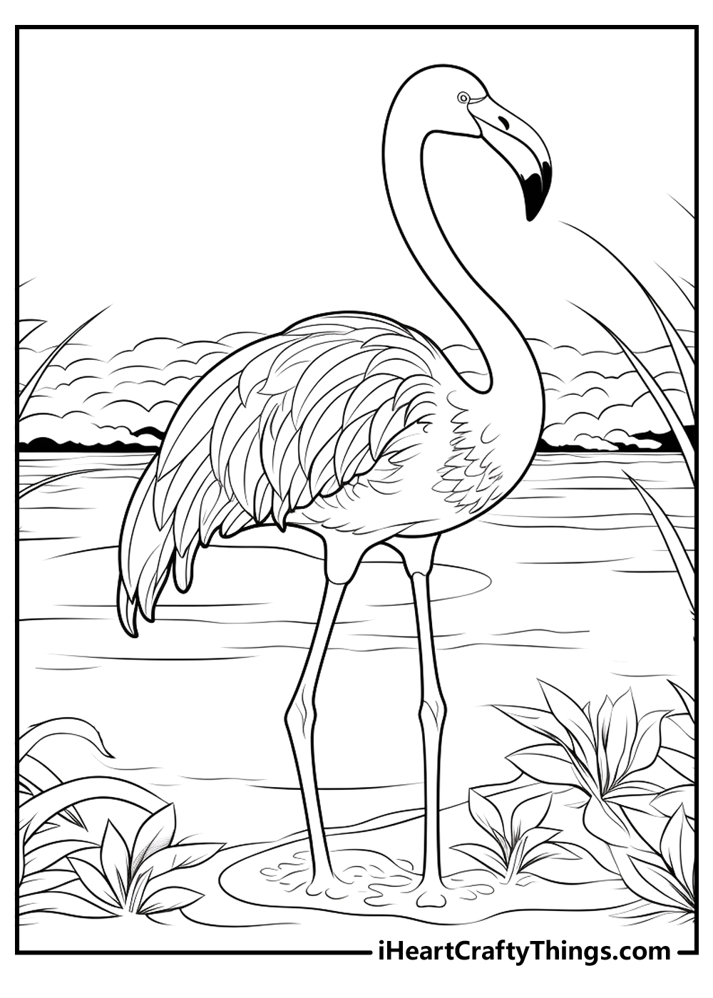 Flamingos coloring pages free printables