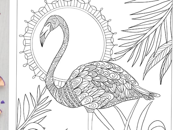 Fancy flamingo coloring sheet for adults and kids cute flamingo coloring page doodle digital download printable coloring page