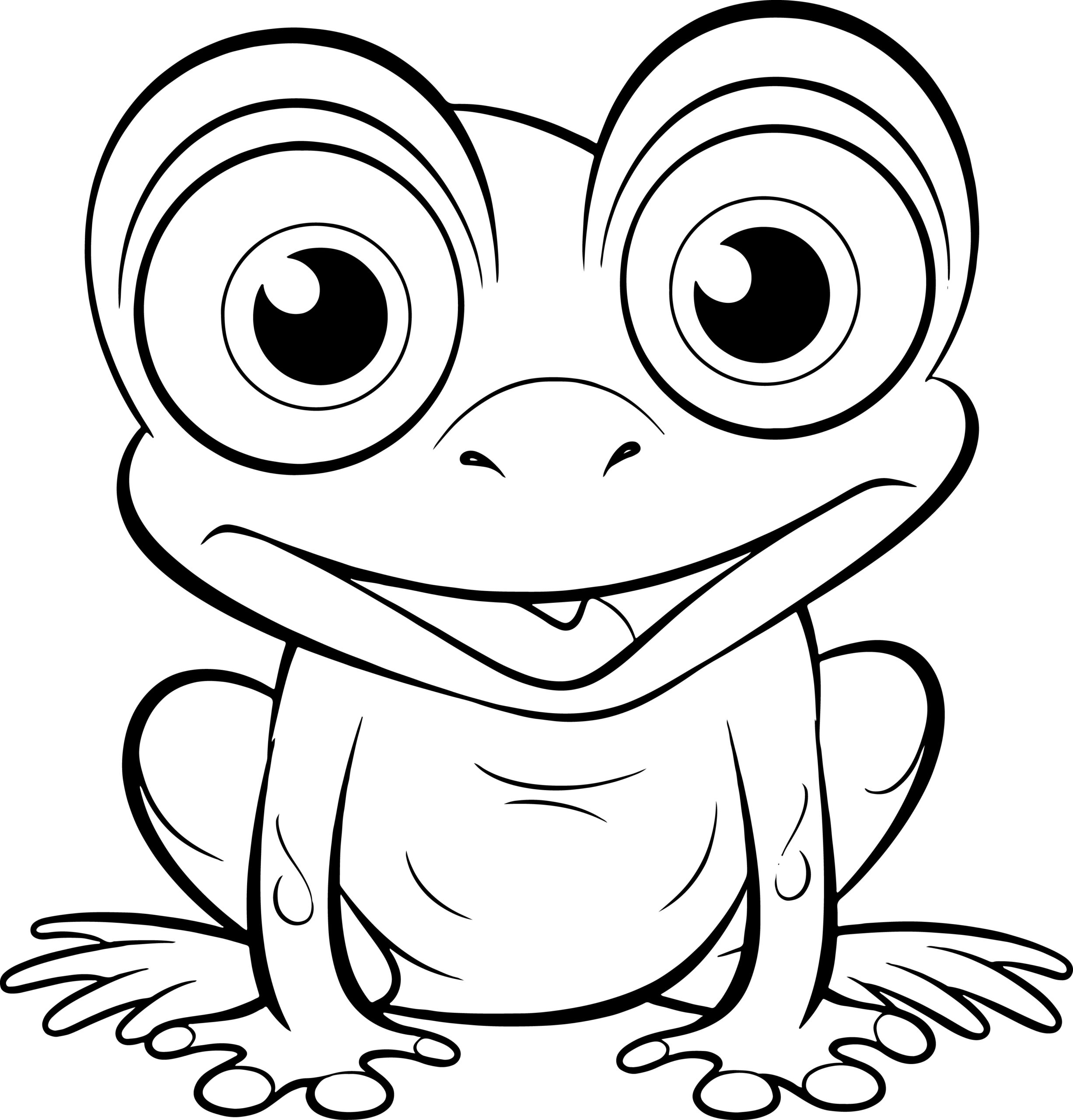 Frog coloring book beautiful nature frog coloring book for boys and girls made by teachers