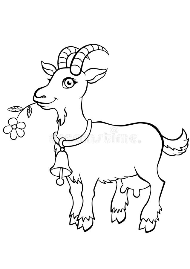 Coloring pages coloring pages animals little cute goat